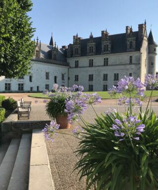 Vue extérieur du Château Royal d'Amboise depuis le parc