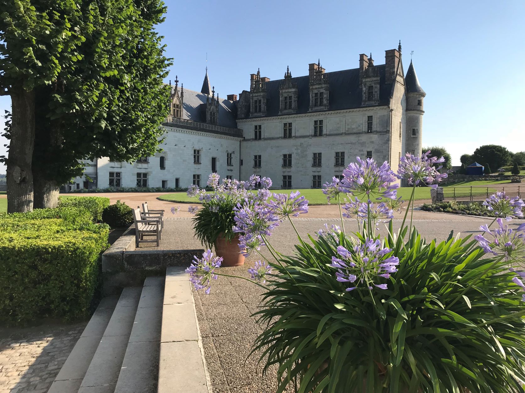 Vue extérieur du Château Royal d'Amboise depuis le parc