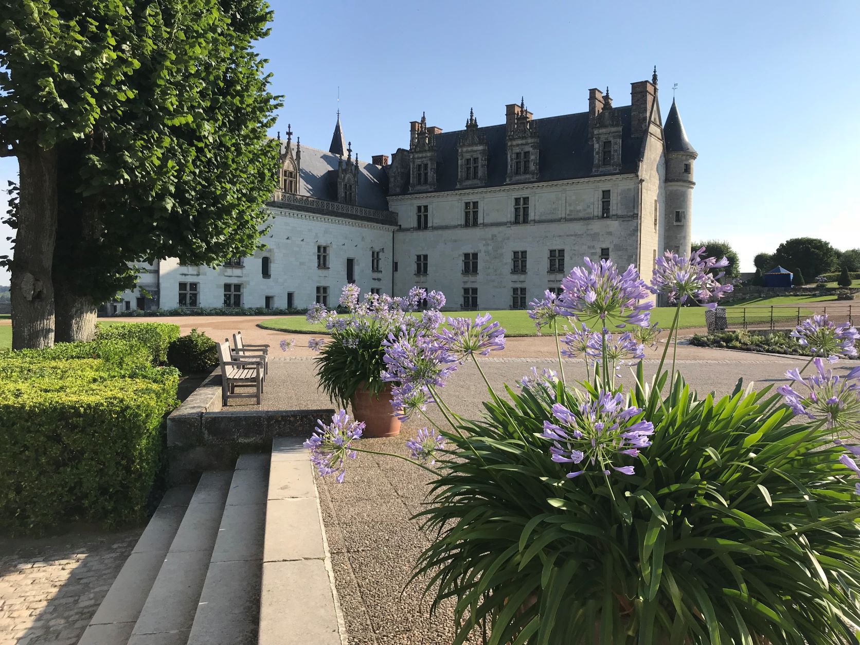 Château d'Amboise