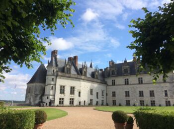 Logis royal du château royal d'Amboise