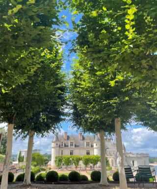 Vue du château Royal d'Amboise depuis le parc