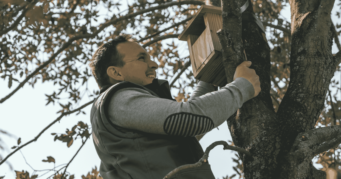 Installation cabane à oiseaux dans le  parc du Château Royal d'Amboise